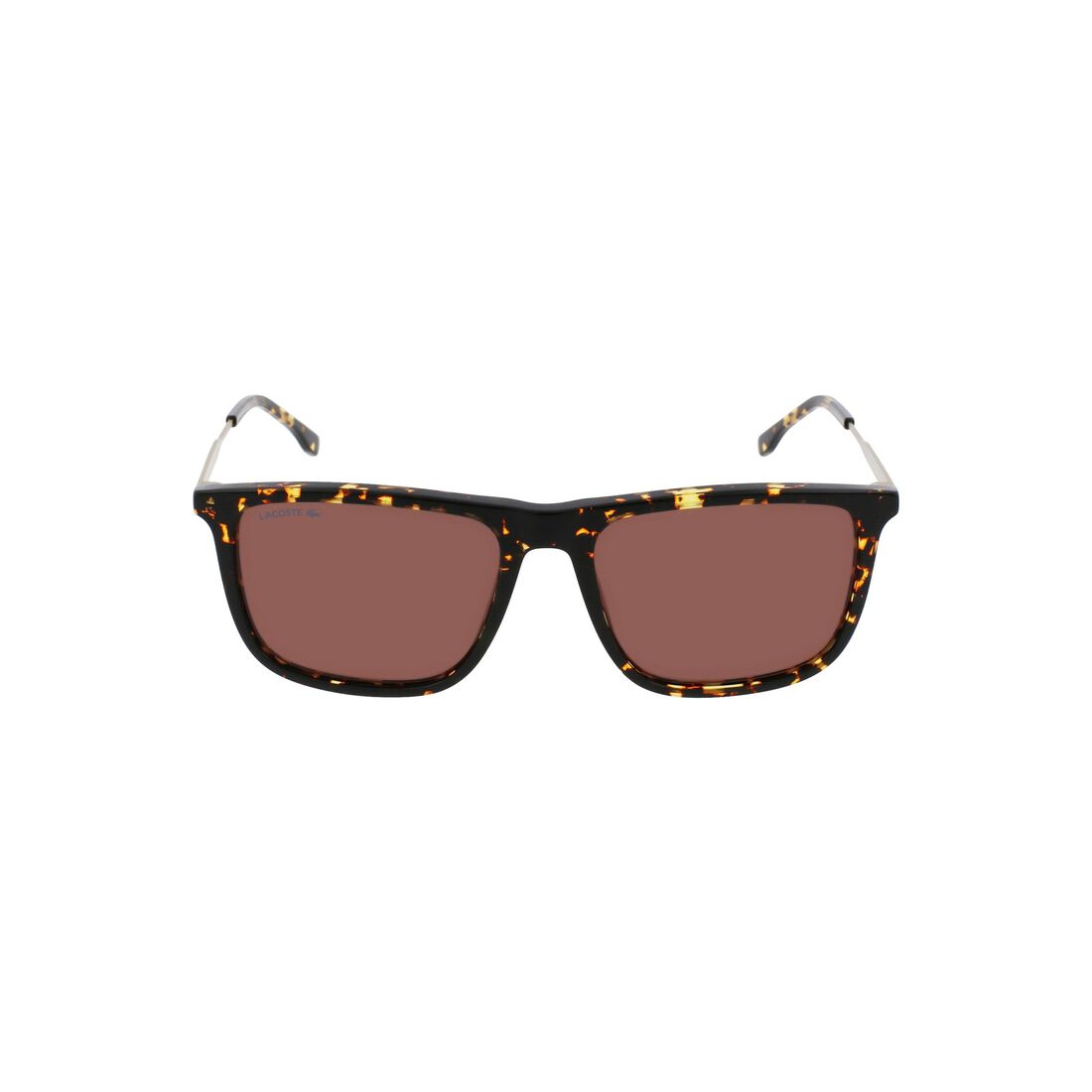 Lacoste Acetate Men's Sunglasses Brown | 104-HQBWSR