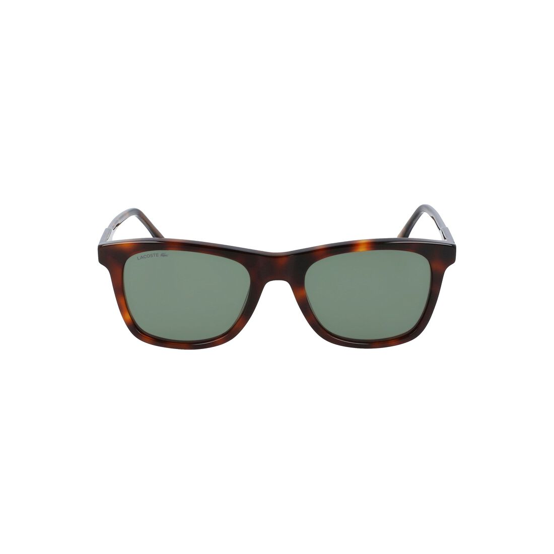 Lacoste Acetate Men's Sunglasses Green | 364-NVFHGJ